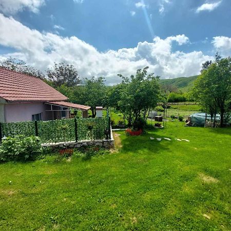 Village Flower Ivy Montenegro Nikšić エクステリア 写真