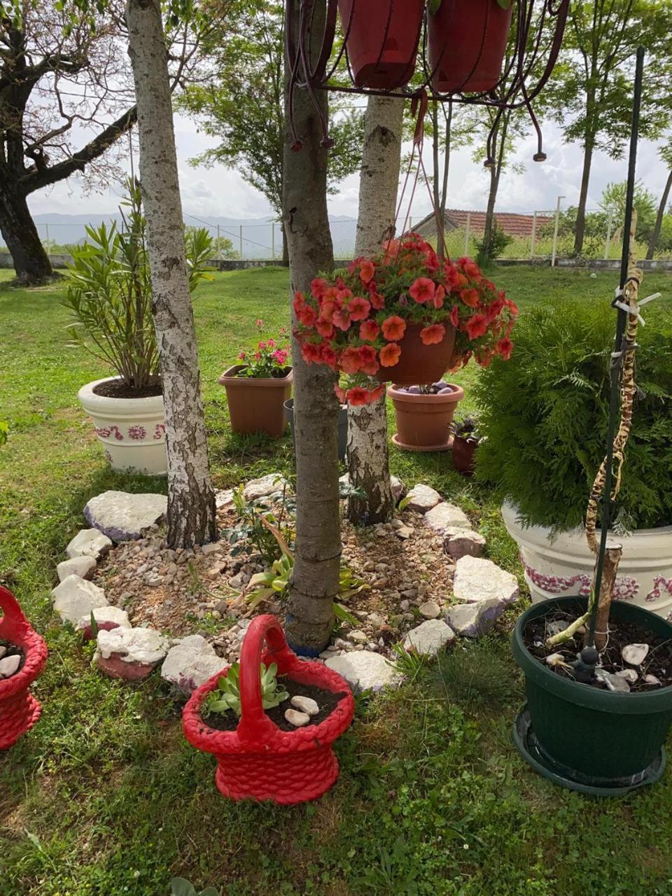 Village Flower Ivy Montenegro Nikšić エクステリア 写真